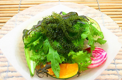 <br /><br />海ぶどうと夏野菜の彩りサラダ