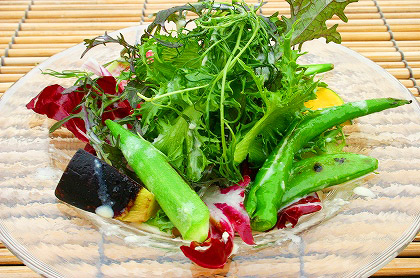 <br /><br />季節野菜の彩りサラダ<br>シトロン・クリームドレッシング