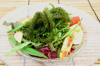 <br /><br />海ブドウと季節野菜の彩りサラダ<br>シークワーサーのドレッシング
