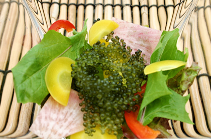 <br /><br />“海ぶどう”と季節野菜の彩りサラダ